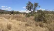 50 Acres Prime Land for Sale on Mombasa Road, Lukenya - 1