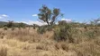 50 Acres Prime Land for Sale on Mombasa Road, Lukenya - 2