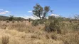 50 Acres Prime Land for Sale on Mombasa Road, Lukenya - 3