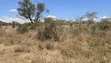 50 Acres Prime Land for Sale on Mombasa Road, Lukenya - 5