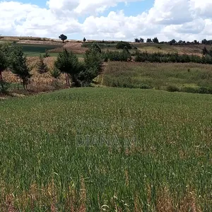 2 Acres Prime Agricultural Land for Sale - Rwathia, Nyandarua