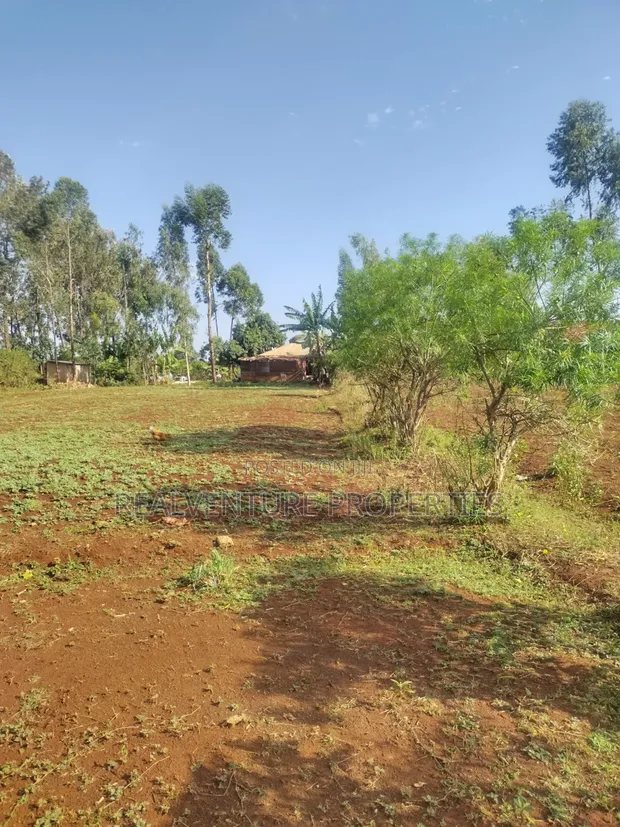 3/4 Acre Plot with House in Siaya CBD - 1