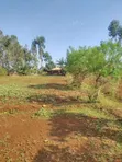 3/4 Acre Plot with House in Siaya CBD - 1