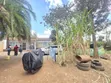 Sehemu ya Robo Acre ya Makazi kwa Uuzaji, Kahawa Sukari - 3