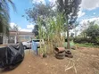 Sehemu ya Robo Acre ya Makazi kwa Uuzaji, Kahawa Sukari - 4