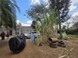 Sehemu ya Robo Acre ya Makazi kwa Uuzaji, Kahawa Sukari - 5