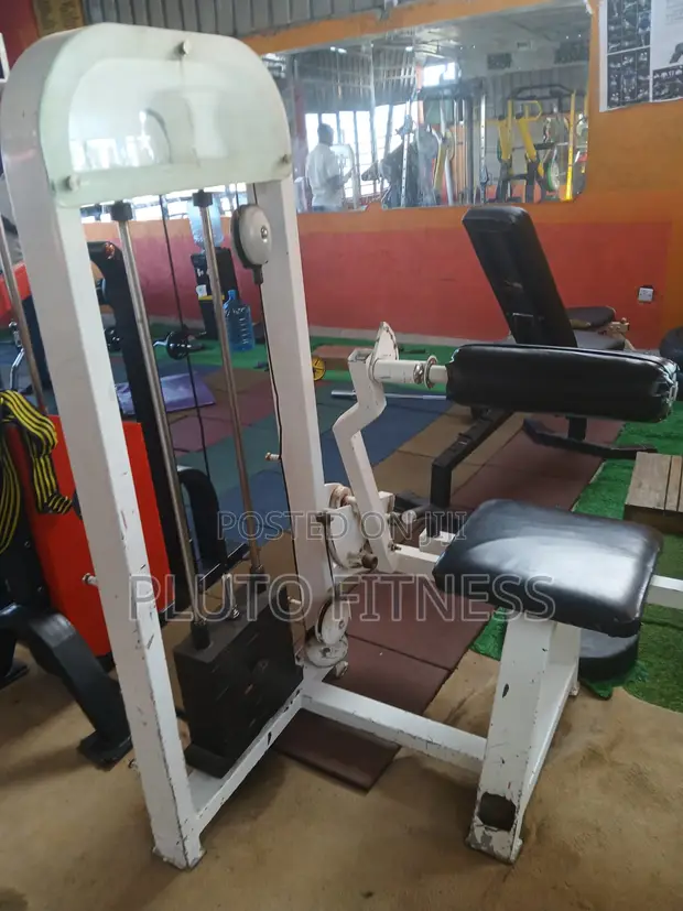 American Fitness Abdominal, Biceps & Back Machine - 1