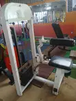 American Fitness Abdominal, Biceps & Back Machine - 1