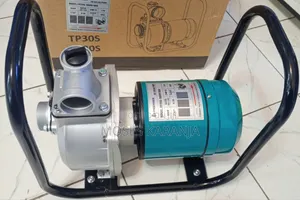 Premier 2" Solar Water Pump