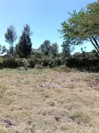 3 Acres Development Land for Sale in Kandisi - 1