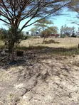 3 Acres Development Land for Sale in Kandisi - 2