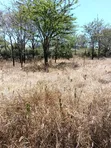 3 Acres Development Land for Sale in Kandisi - 4
