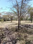 3 Acres Development Land for Sale in Kandisi - 5