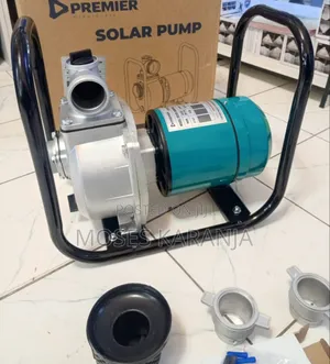 Premier Water Surface Pump TP20S-900W/96V