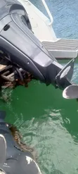 Boti ya Cabin Cruiser Iliyofungwa - Mtindo wa Axopar - 4