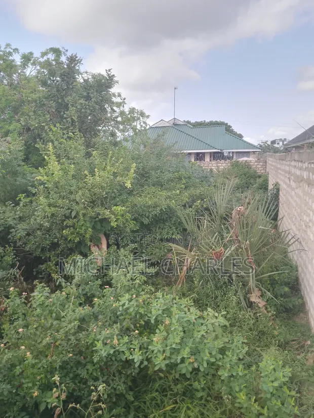 100x100 Plot for Sale at Gombato Hospital Gate - 1