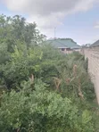 100x100 Plot for Sale at Gombato Hospital Gate - 1
