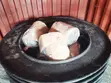 1200 Gold Ore Wet Pan Mill - 3