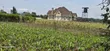 1/4 Plot for Sale, Eldoret Wingsdrive Chepkoilel - 3