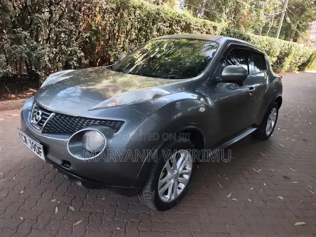 Nissan Juke 2012 Grey - 1