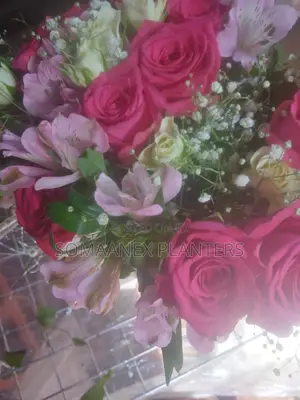 Somaanex Maua Safi ya Bouquets