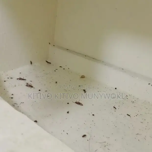 Guaranteed Fumigation Results - 1