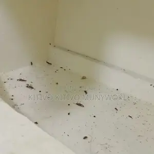 Guaranteed Fumigation Results