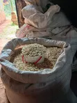 Two Bags of Maize - 1