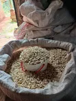 Two Bags of Maize - 2