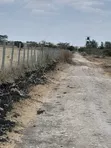 Vipande Bora vya Ardhi Vinauzwa Kitengela Acacia - 4