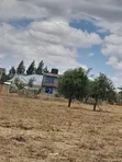 Vipande Bora vya Ardhi Vinauzwa Kitengela Acacia - 5