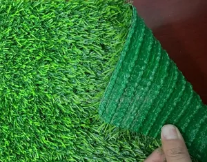 Double Layer Grass Carpet - Environmental Friendly