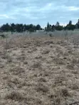 Prime 2 Acres Distress Deal in Kitengela - 2