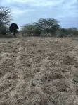Prime 2 Acres Distress Deal in Kitengela - 5