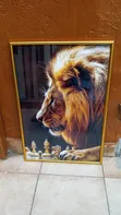 Picture Frames - All Sizes - 5