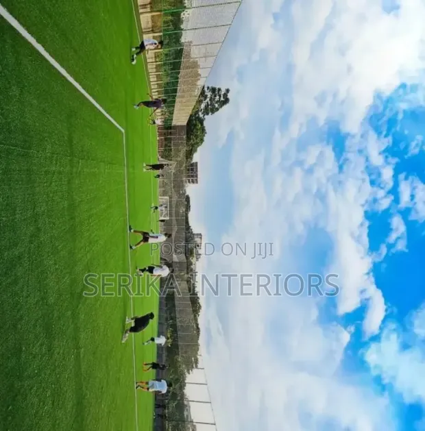 Magodoro ya Nyasi za Uwanja wa Mpira - Mpya Kabisa - 1