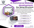 Professional Business Website Design & Development - 3