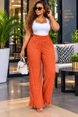Pleated Palazzo Pants - 3