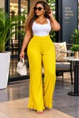 Pleated Palazzo Pants - 4