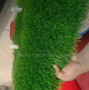 Robertson's Green Grass Carpets - Rafiki kwa Mazingira