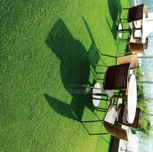 Robertson's Carpet ya Nyasi Bandia - Mpya Kabisa