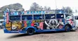 Isuzu NQR 2017 Bus - Viti 33 - 3