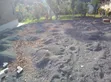 Professional Cabro Paving Services - 4