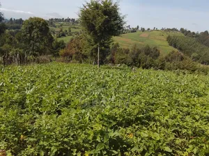 Eneo la Eka 2.7 kwa Kilimo Ol Kalou