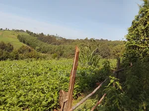 2.7 Acres Farmland in Ol Kalou
