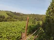 2.7 Acres Farmland in Ol Kalou - 2
