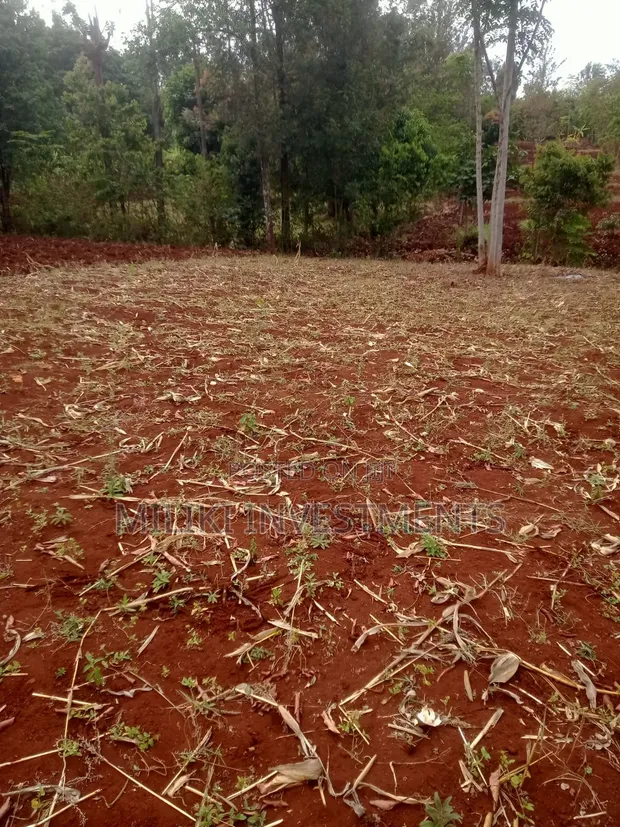 Eneo la Prime la Eka 1 Linauzwa Murang'a - Kigumo - 1