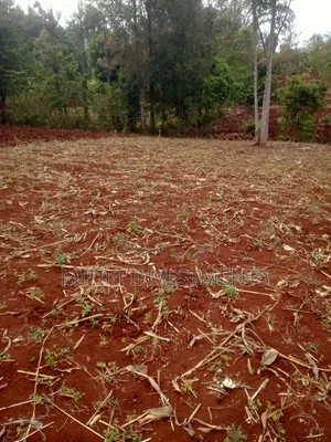 Eneo la Prime la Eka 1 Linauzwa Murang'a - Kigumo