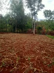 Eneo la Prime la Eka 1 Linauzwa Murang'a - Kigumo - 3