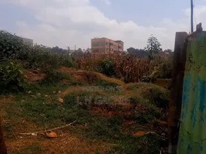 Kitalu cha 40/100 Kinauzwa Kawaida, Kiambaa